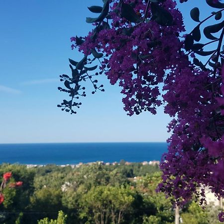 Vila Pogled Petrovac Екстериор снимка