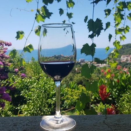 Vila Pogled Petrovac Екстериор снимка