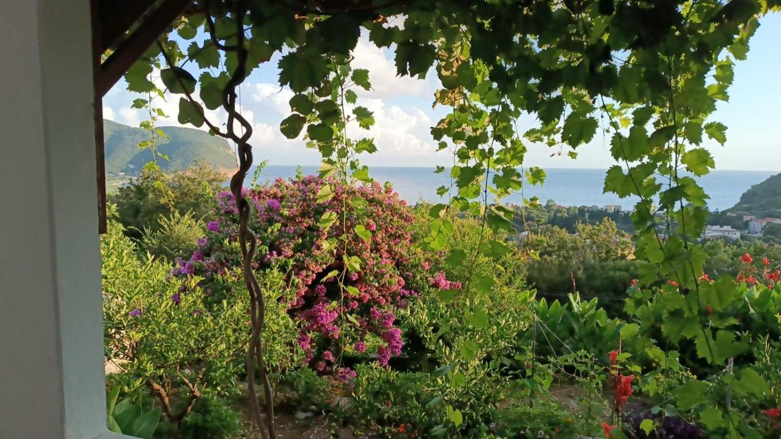 Vila Pogled Petrovac Екстериор снимка