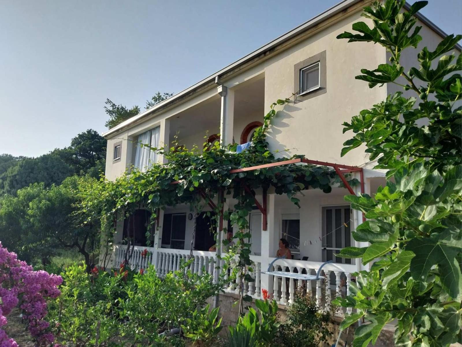 Vila Pogled Petrovac Екстериор снимка