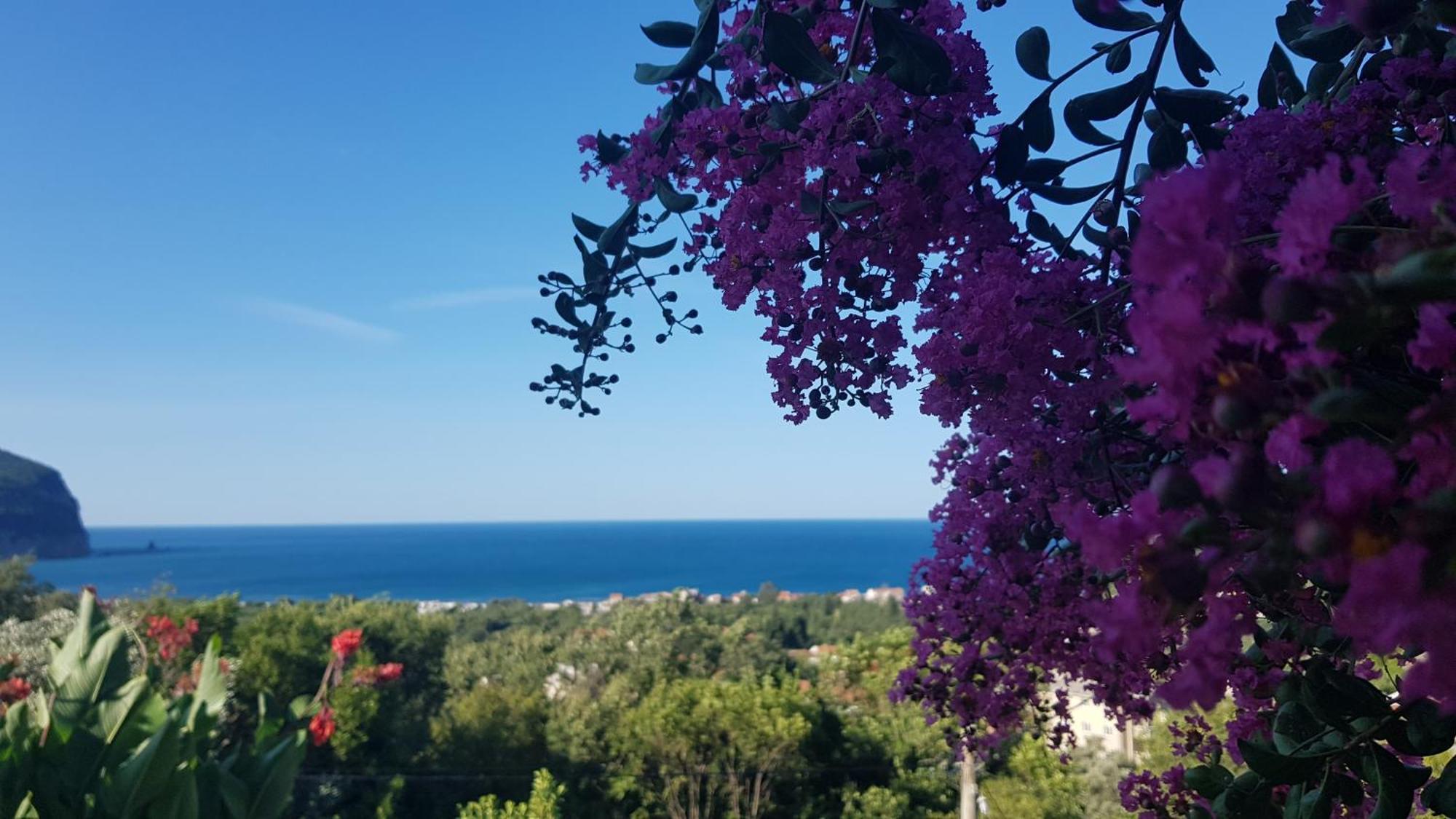 Vila Pogled Petrovac Екстериор снимка