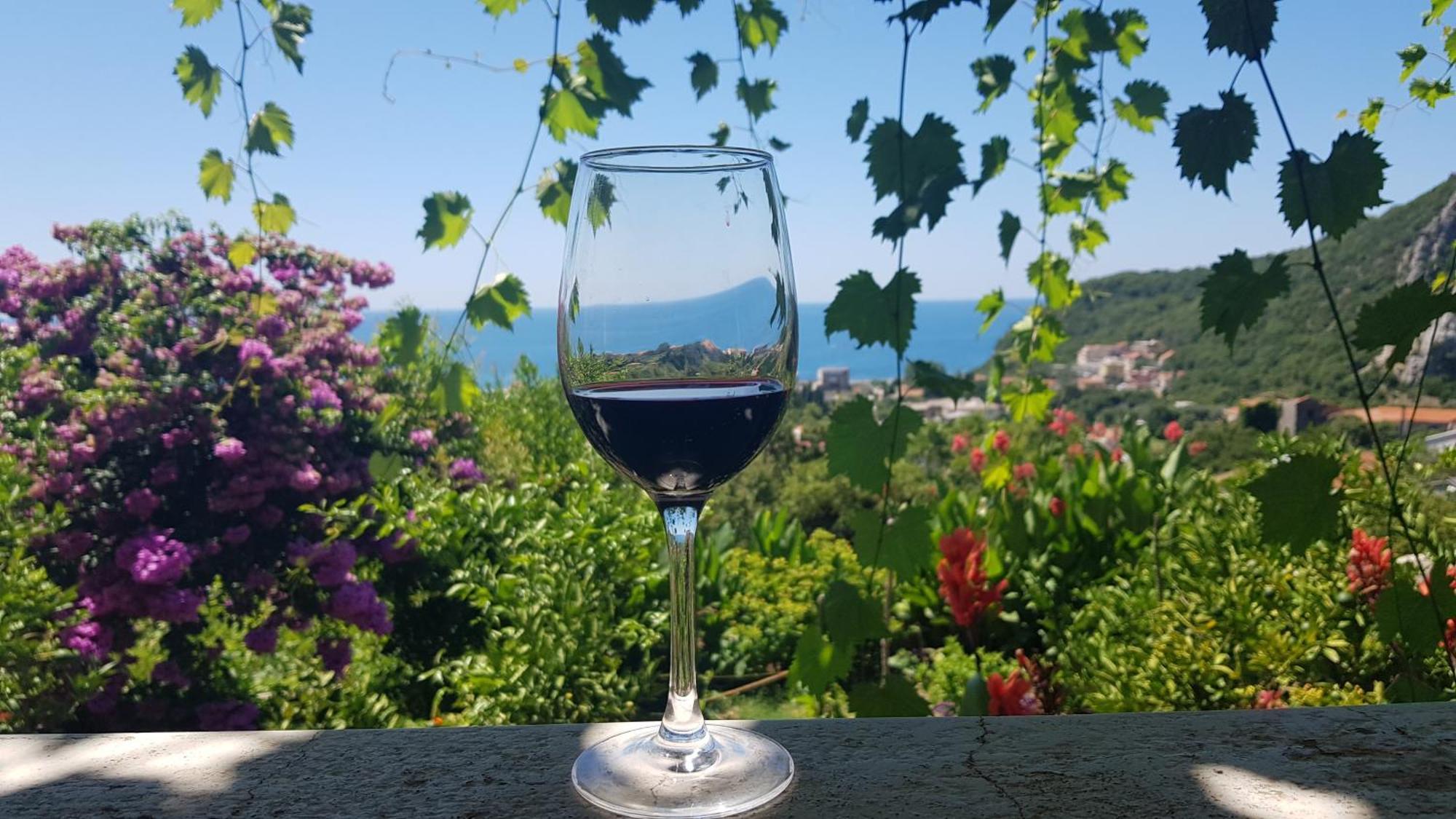 Vila Pogled Petrovac Екстериор снимка