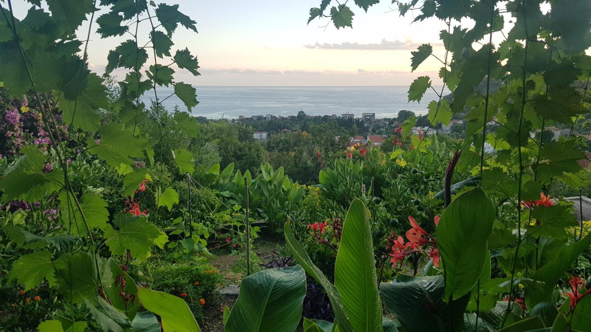 Vila Pogled Petrovac Екстериор снимка