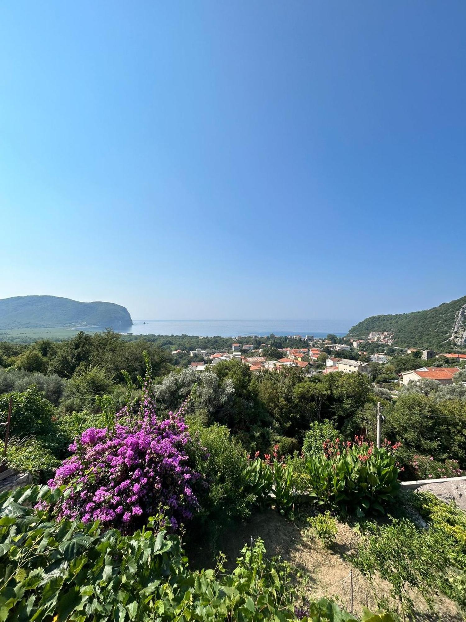 Vila Pogled Petrovac Екстериор снимка